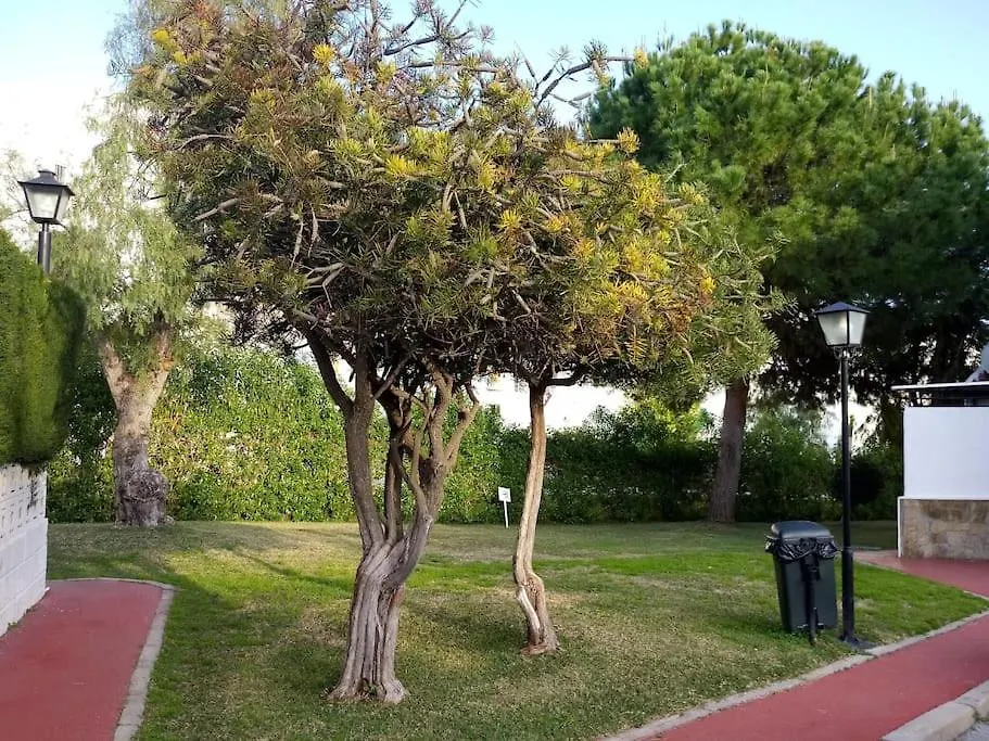 Canuelo House Playa Paraiso Velez Malaga Holiday home